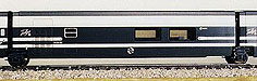 ele3213 copy.jpg